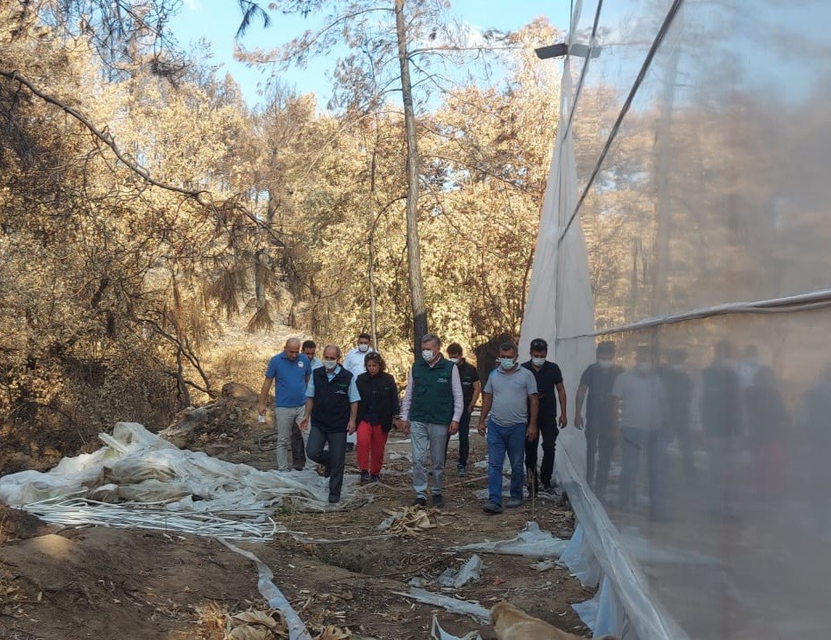 TARSİM’den Mersin, Antalya ve Muğla’ya ziyaret
