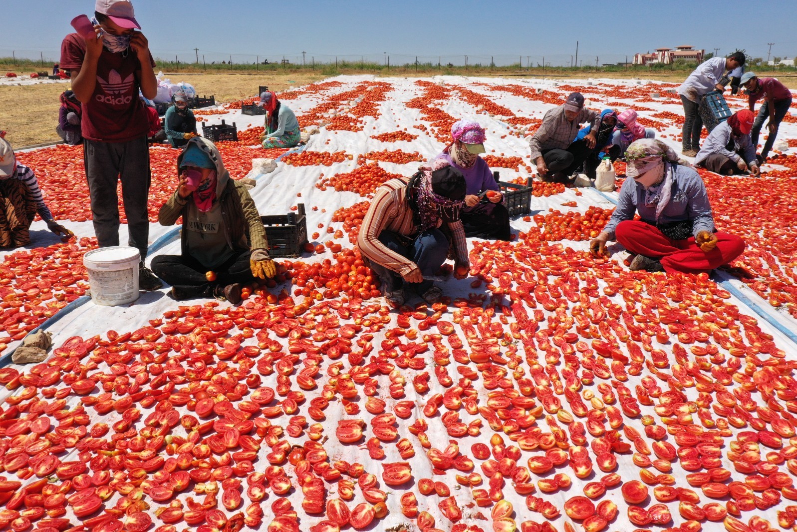 ’Akça kadınlar’ hem üretiyor hem ihraç ediyor