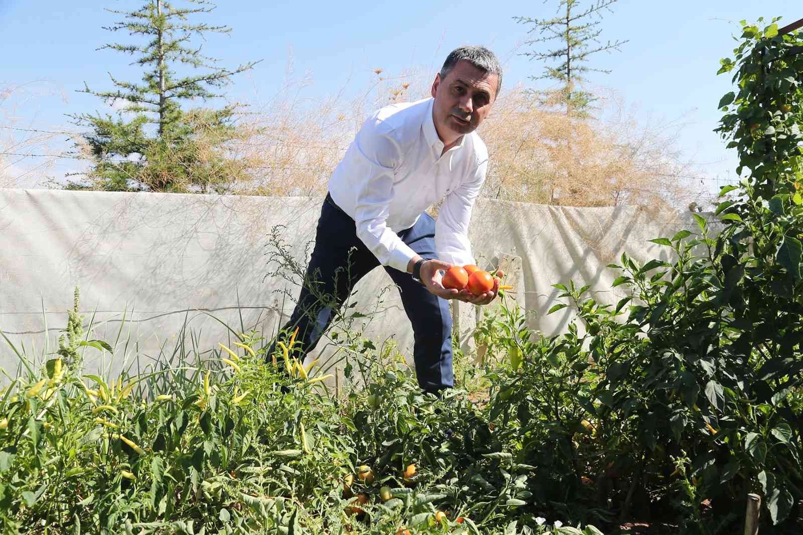 Gölbaşı Belediyesinden çiftçiye hibe buğday desteği