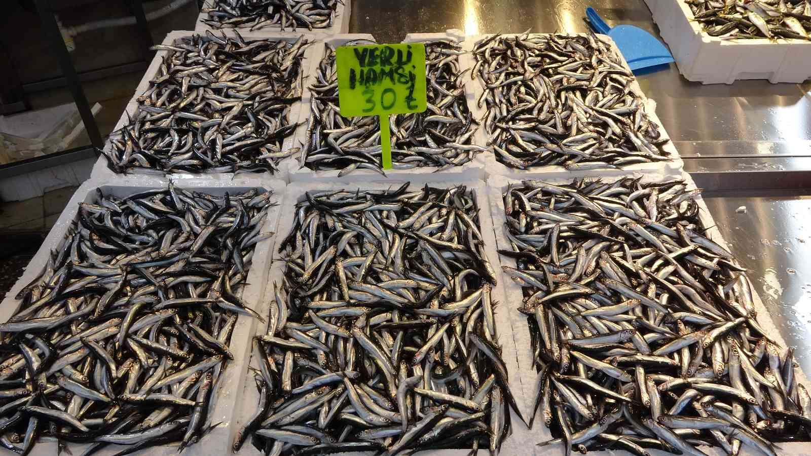 Karadeniz’de kar yağışı ve soğuklarla birlikte hamsi bereketi yaşanıyor