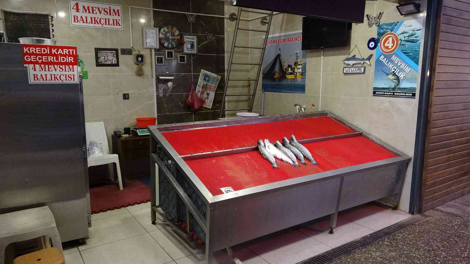 Karadeniz’de bir haftadır etkili olan kar yağışı tezgahlarda balık fiyatlarını uçurdu